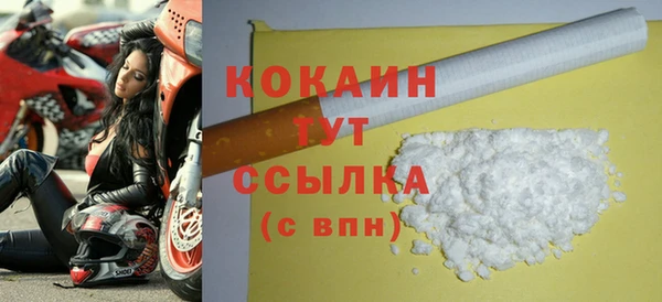 прущие грибы Новодвинск