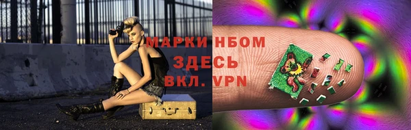 прущие грибы Новодвинск