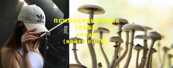 гидропоника Новокубанск