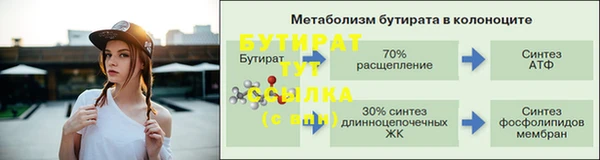 прущие грибы Новодвинск