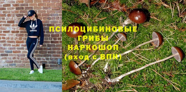 кокс Новозыбков