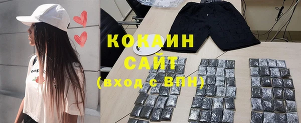прущие грибы Новодвинск