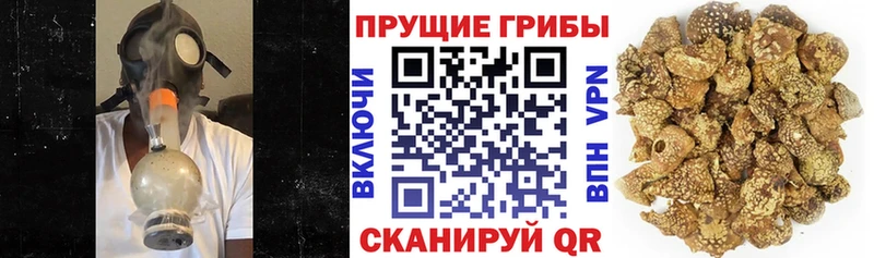 Псилоцибиновые грибы прущие грибы  Анива 